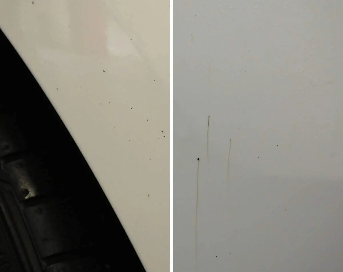 AutoGlym Intensive Tar Remover │ Intens tjærefjerner Asfalt- og tjæreflekker -325 ml Image 2