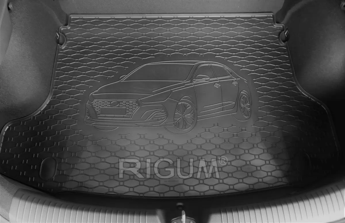 Bagasjeromsmatte BMW 3 (F31) Touring 2011 - 2018 – bilde 2