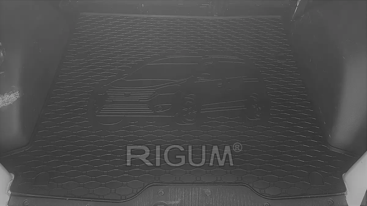 Bagasjeromsmatte DACIA Dokker 2012-2021 – bilde 2