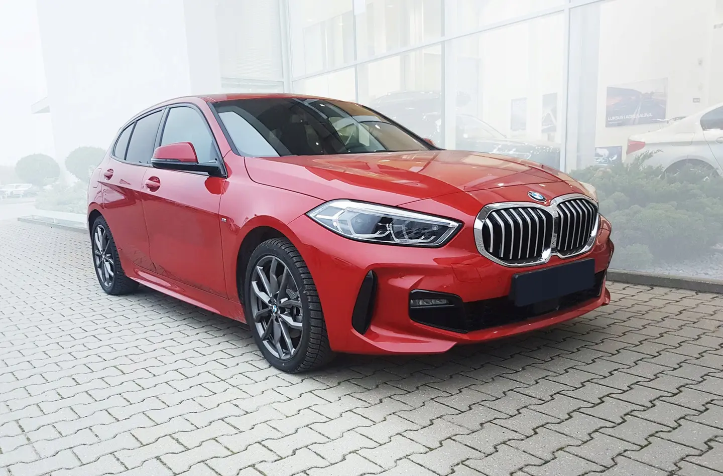 Bakfangerbeskytter BMW 1 (F40) M-Pack 2019 - 2024 – bilde 9
