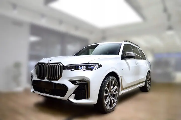 Bakfangerbeskytter BMW X7 (G07) M-Pack 2018 -> – bilde 9