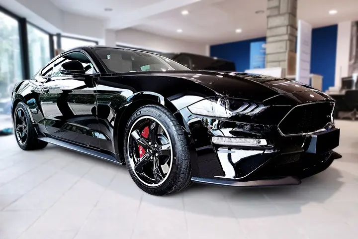 Bakfangerbeskytter Ford Mustang VI 2014 - 2023 – bilde 8
