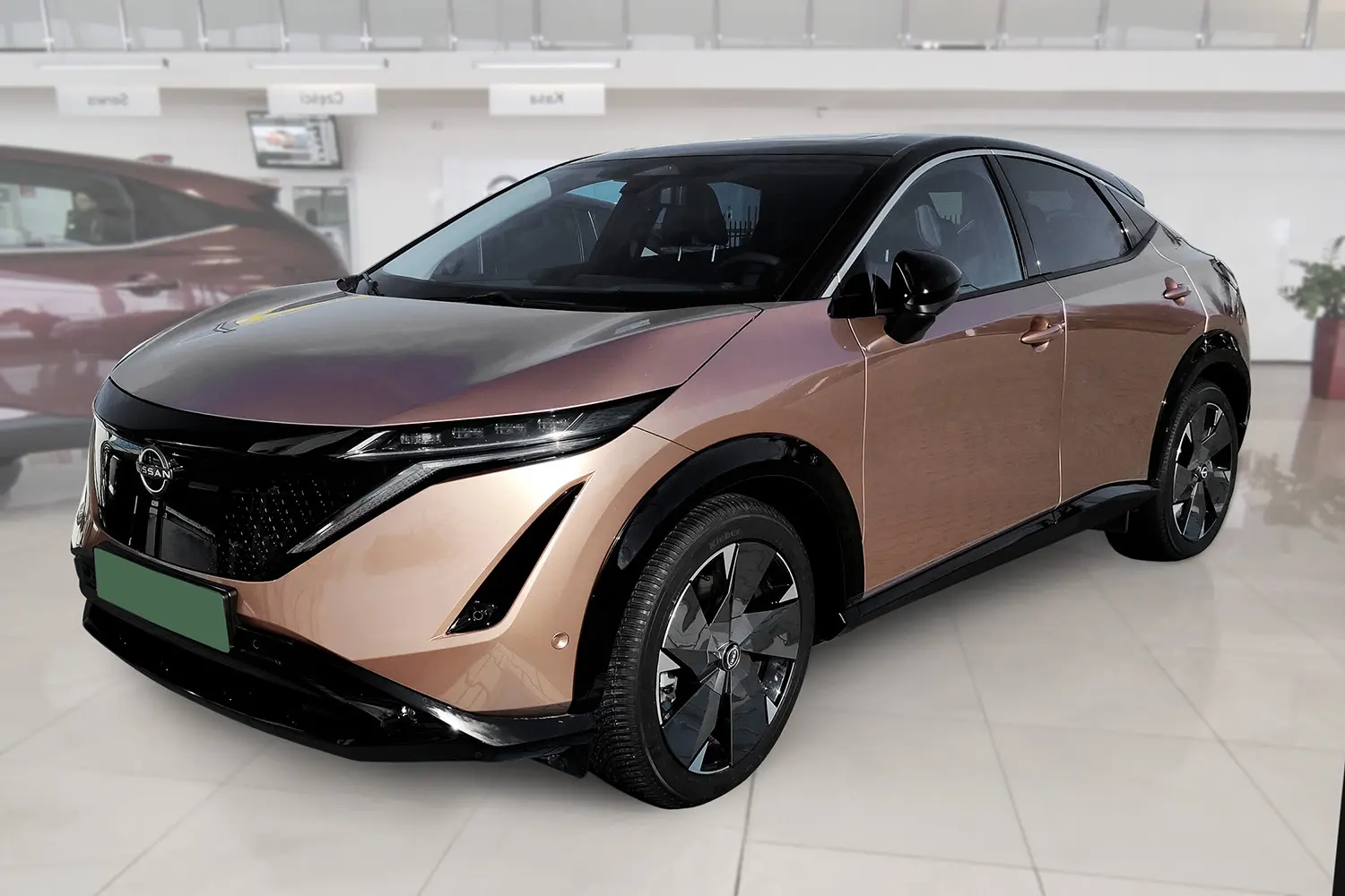 Bakfangerbeskytter Nissan Ariya 2022 -> | Black Edition – bilde 8