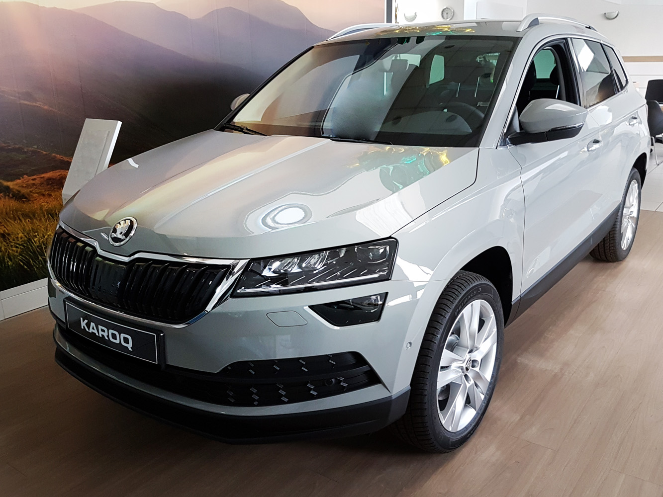 Bakfangerbeskytter Škoda Karoq 2017 -> │ Silver Edition – bilde 8