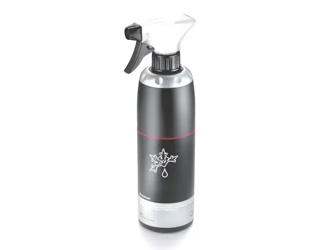 De-icer Audi Original Spray