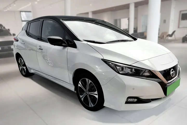 Dørbeskytter dørlister Nissan Leaf II 2017 - 2024 Image 8