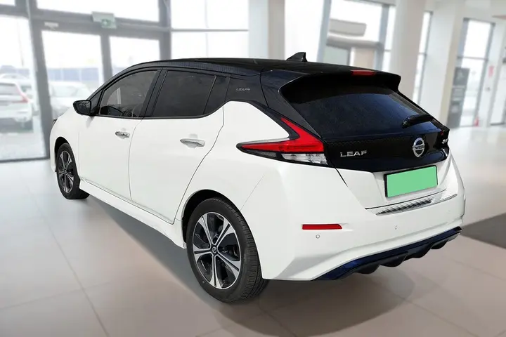 Dørbeskytter dørlister Nissan Leaf II 2017 - 2024 Image 9