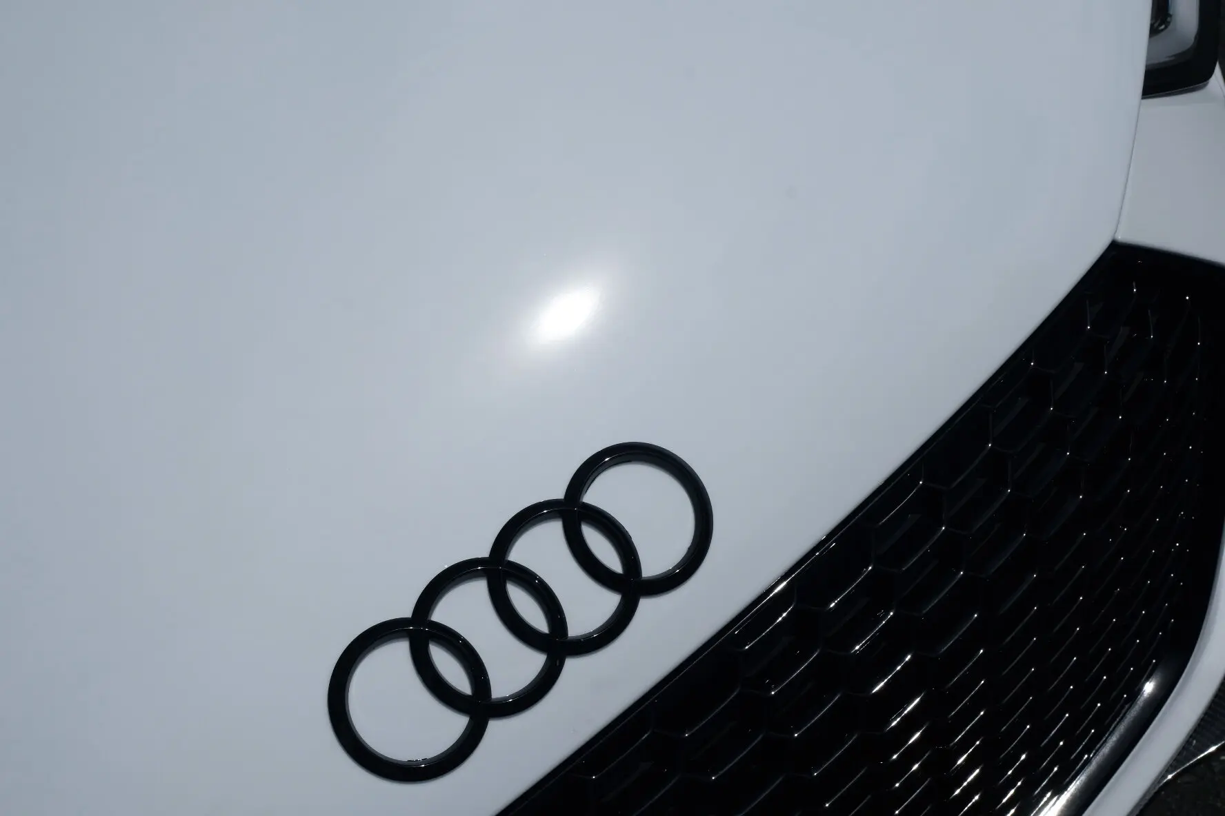 Emblem Audi R8 ringer | Black Edition Sport – bilde 2