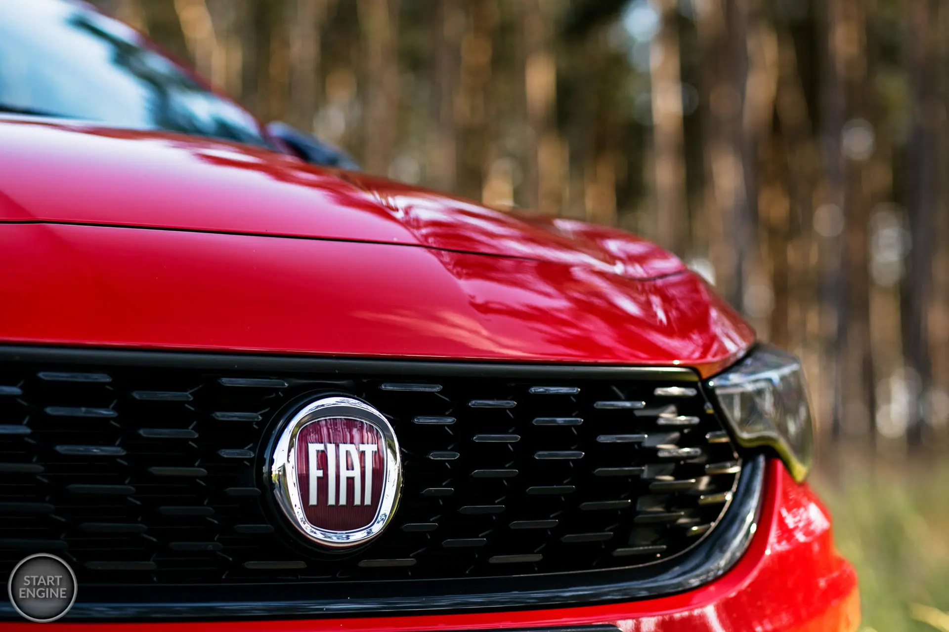Emblem bak Fiat – bilde 12