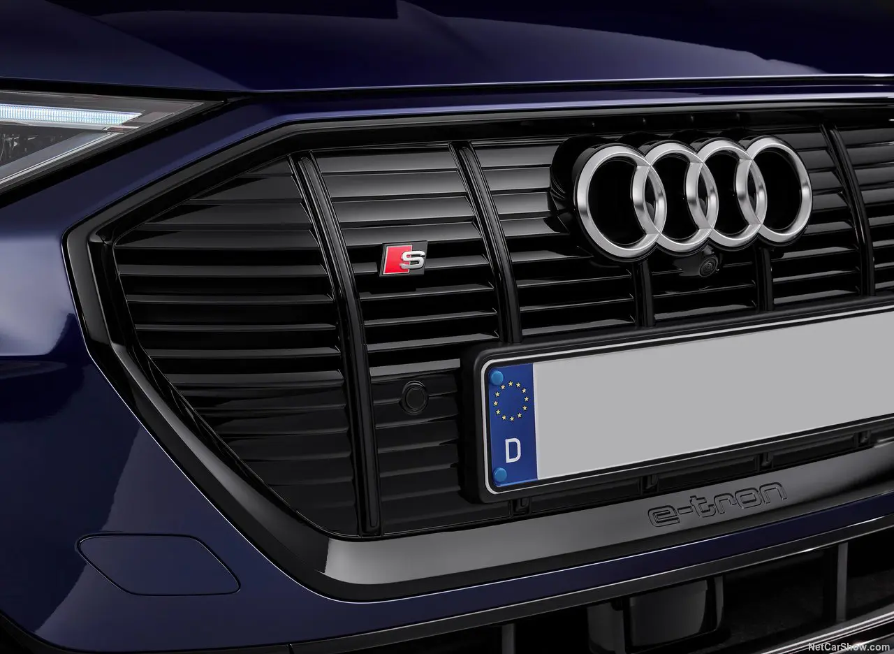 Emblem S grill Audi e-Tron 2020-> Image 1