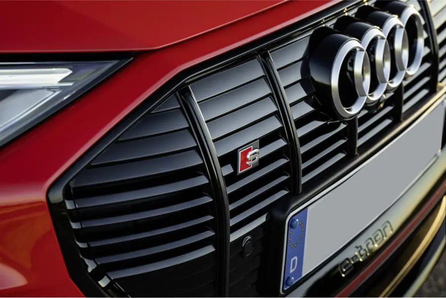 Emblem S grill Audi e-Tron 2020-> Image 2
