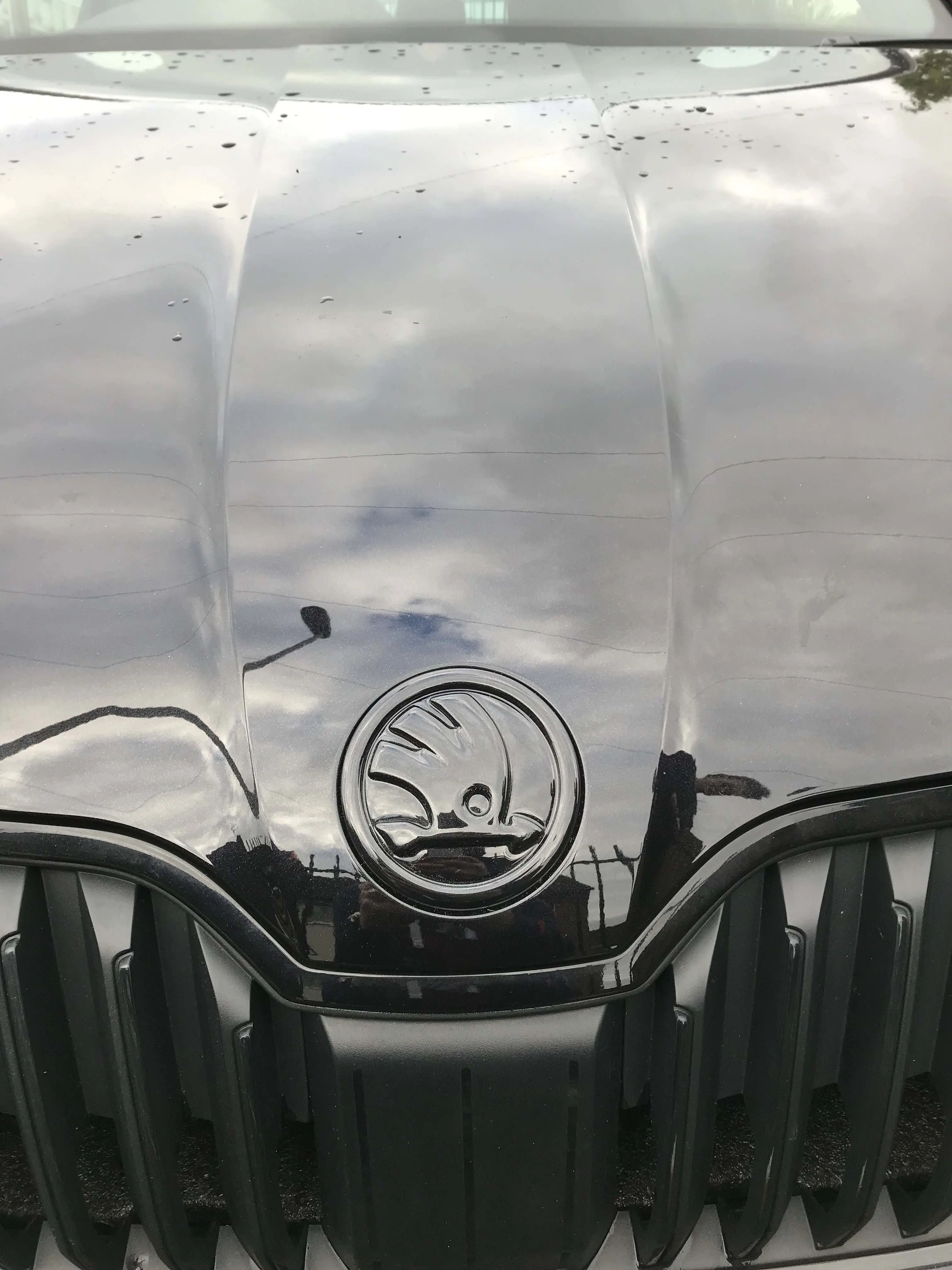 Emblem Skoda | Piano Black Edition Sport Image 2