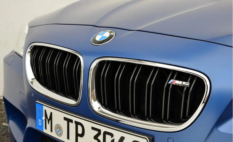 Grill BMW 5 (F10/F11) 2010 - 2017 | M Performance Night Vision Image 1