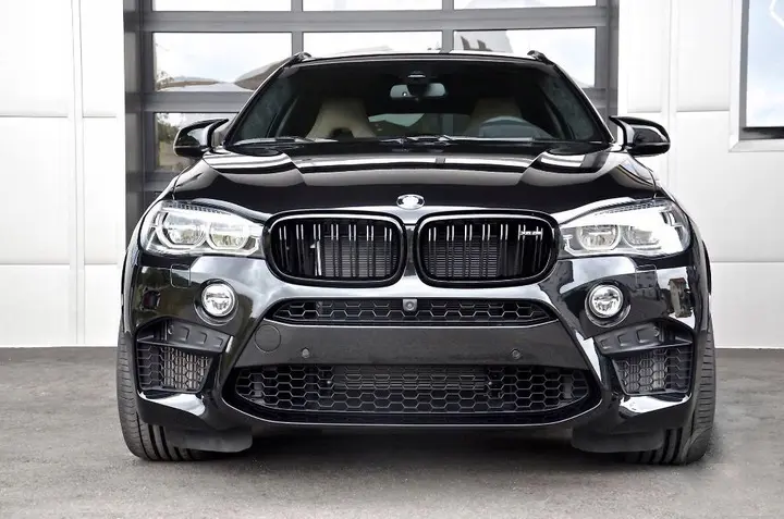 Grill BMW X5 (F15) 2013 - 2018 / X6 (F16)  M-TECH STYLE – bilde 2