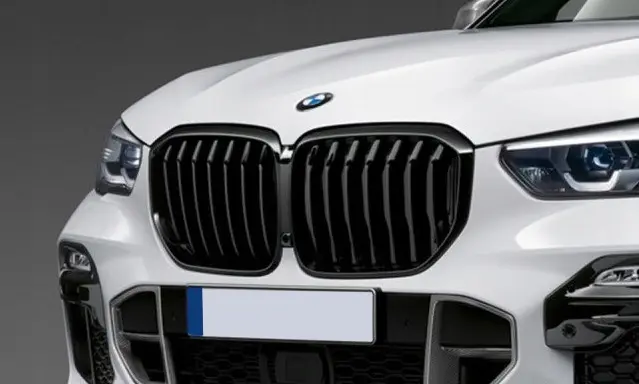 Grill BMW X5 (G05) / BMW X5 (F95) M Competition 2018 - 2023