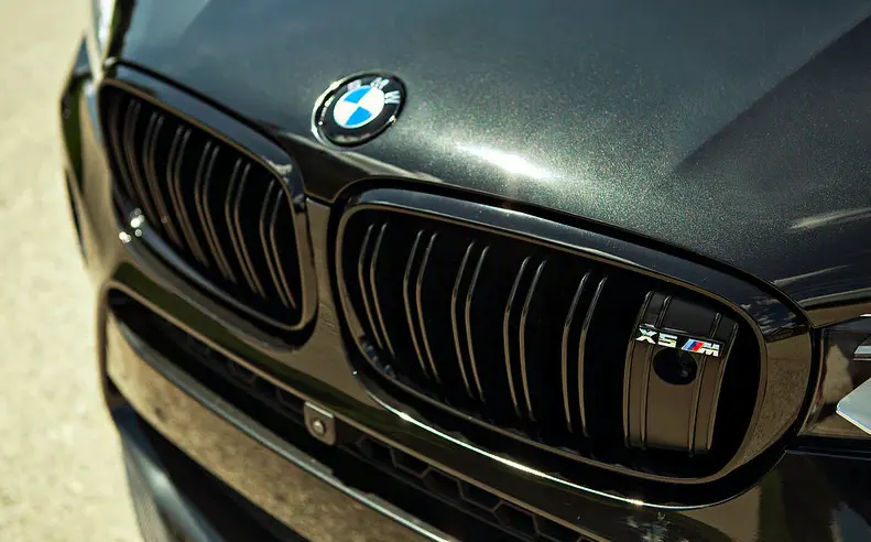 Grill emblem X5M BMW OEM Silver Edition