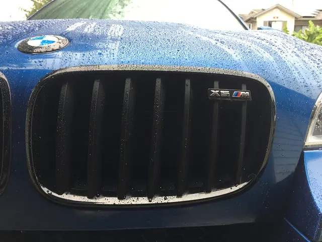 Grill emblem X5M BMW OEM Silver Edition – bilde 3