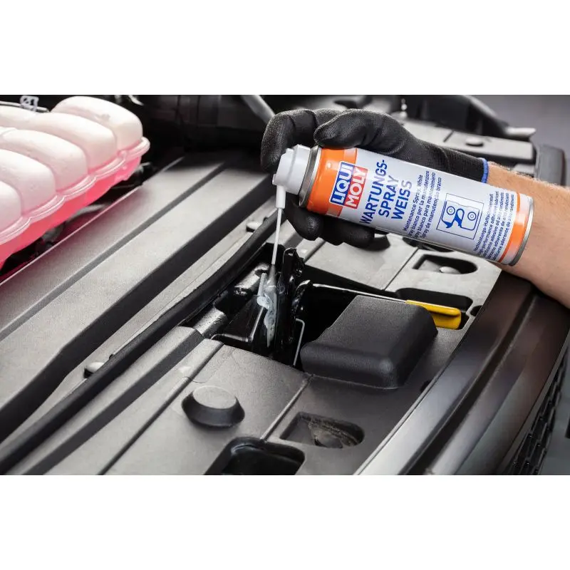 Heftsmørespray Liqui Moly WARTUNGS-SPRAY - 250 ml – bilde 2
