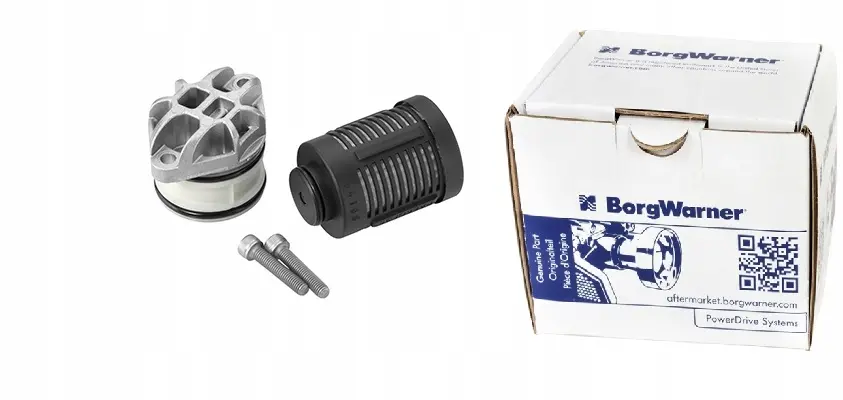 Hydraulikkfilter Haldex-clutch VAG HA Gen 4 │ BorgWarner Hydraulic Filter Image 1