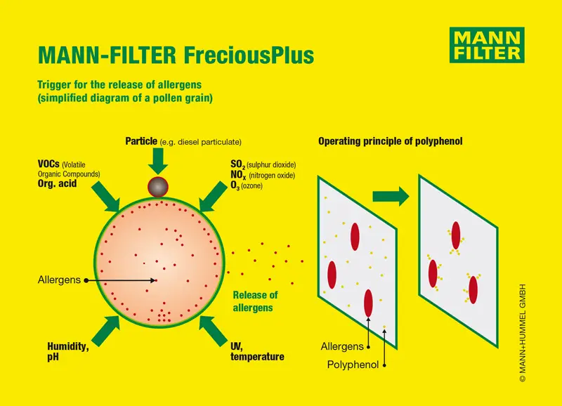 Kupéfilter Tesla Model 3 / Tesla Model Y │ Antibakteriell Effekt - Genuine® Mann-Filter Activated Carbon Cabin Air Filter with polyphenol Image 8
