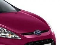 Lakkstift kit 2-komponent Ford Touch Up Hot Magenta │ Lakk kode 9RTEWWA – bilde 2