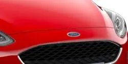 Lakkstift kit 2-komponent Ford Touch Up Race Red │ Lakk kode BRQAWWA – bilde 3