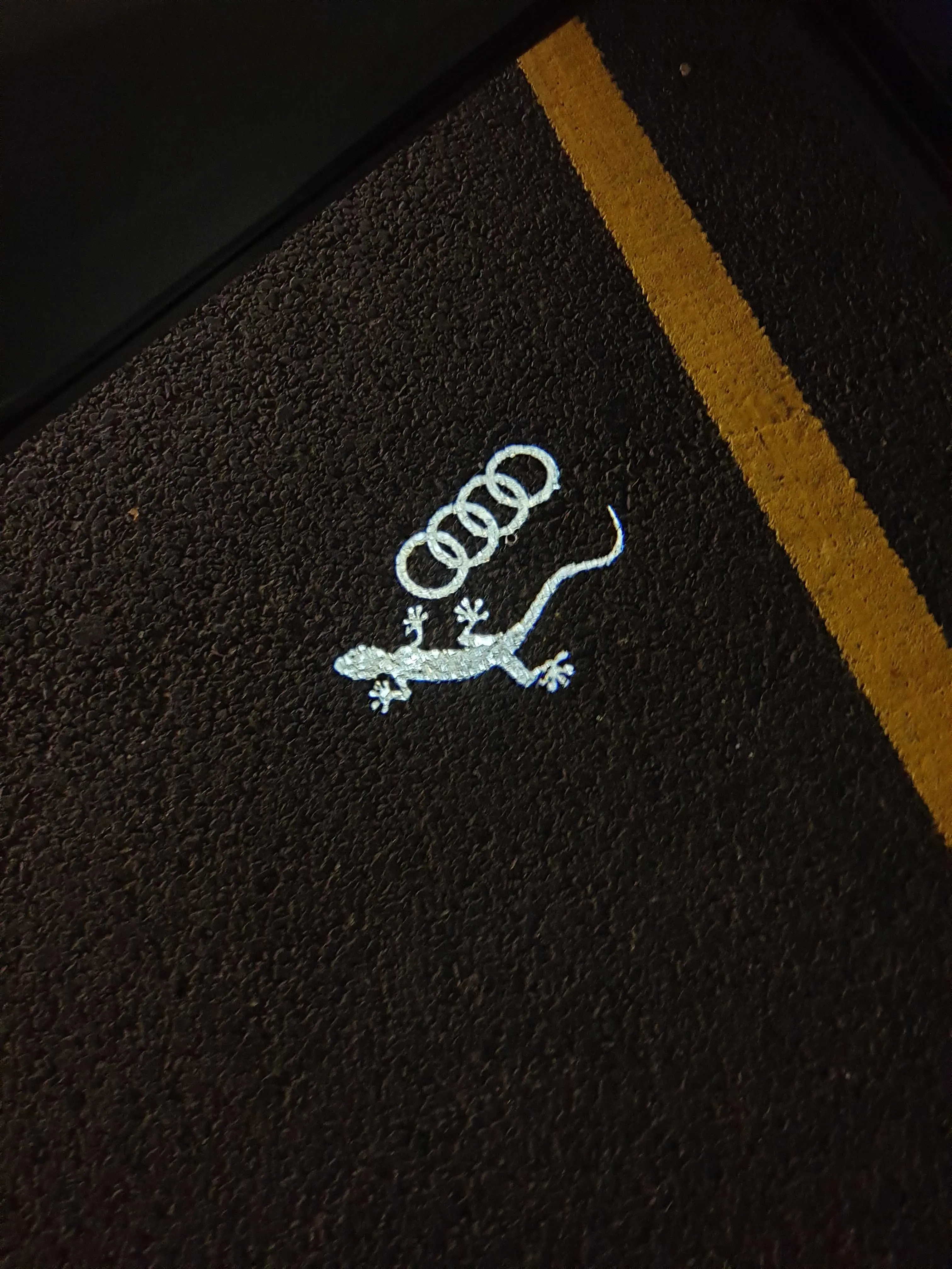 LED dør-projektor Audi Gekko Image 6
