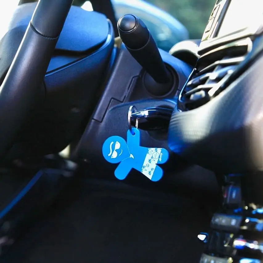 MANNY NEW CAR – bilde 2