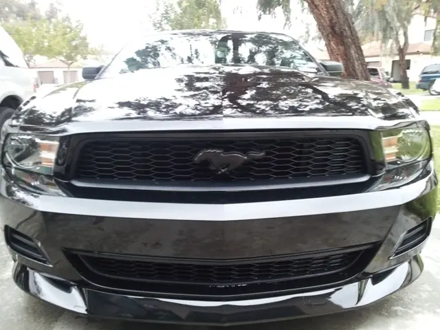 OEM Ford panser emblem Black Pony Mustang 2015- Image 4