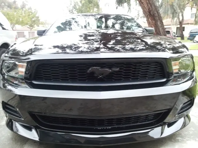 OEM Ford panser emblem Black Pony Mustang 2015- – bilde 4