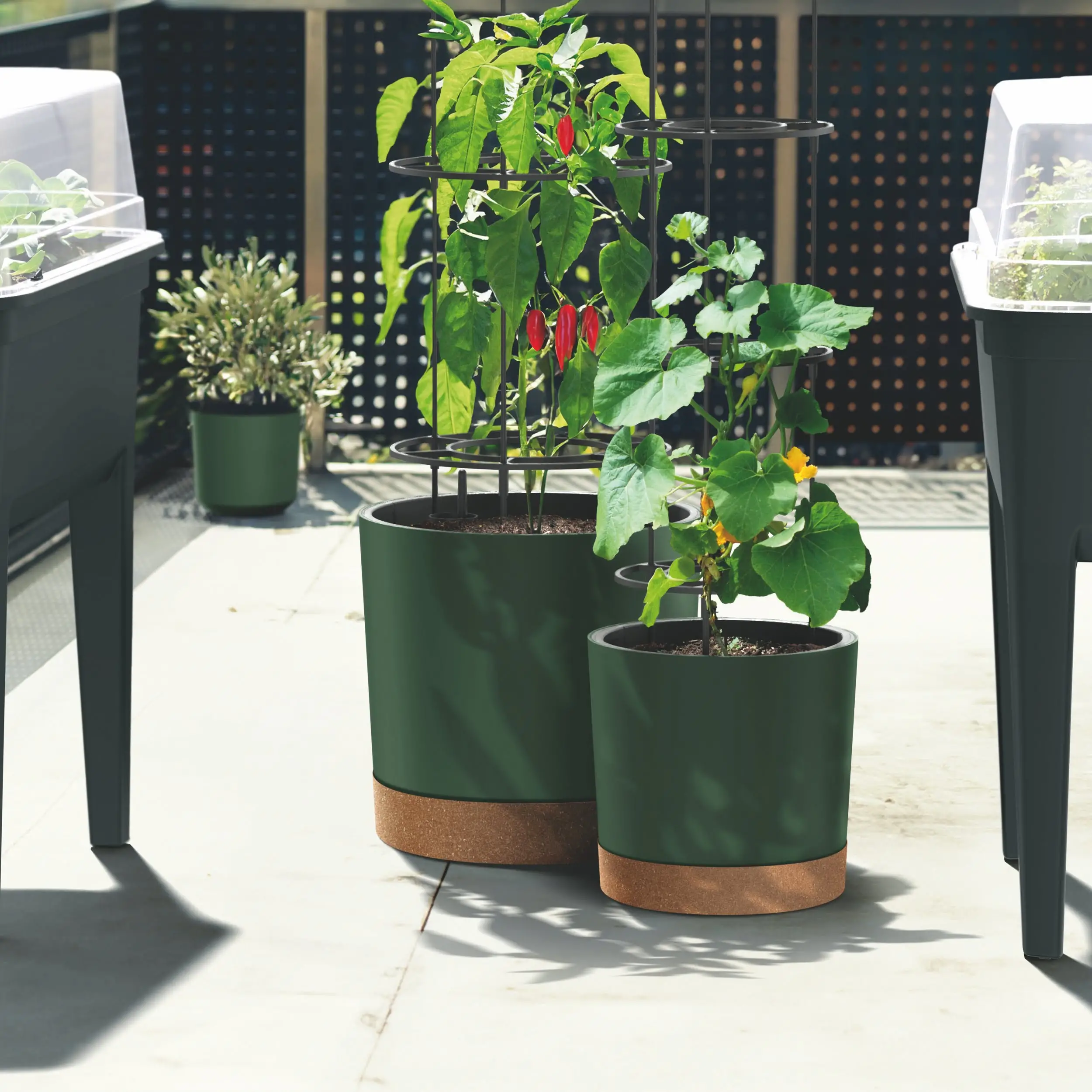 Rund plantepotte for dyrking av tomater Home Grower DEPO400 – Grønn Pinje Image 3