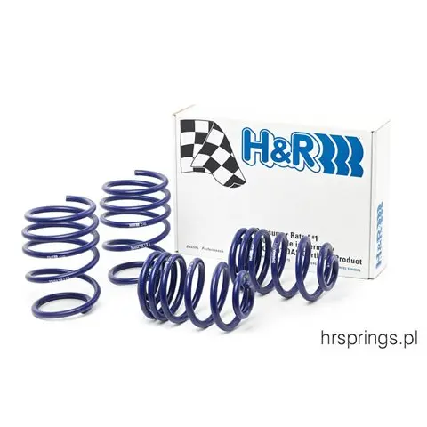Senkefjærer VW Golf VIII GTI + GTD + GTI Clubsport | Sport Springs (40mm / 40mm)