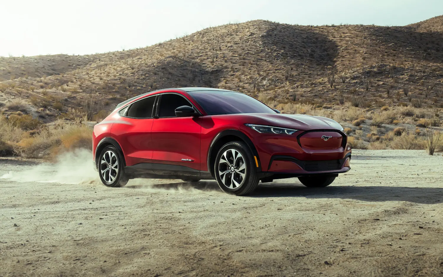 Skvettlapper bak Ford Mustang Mach-E 2020-> – bilde 8