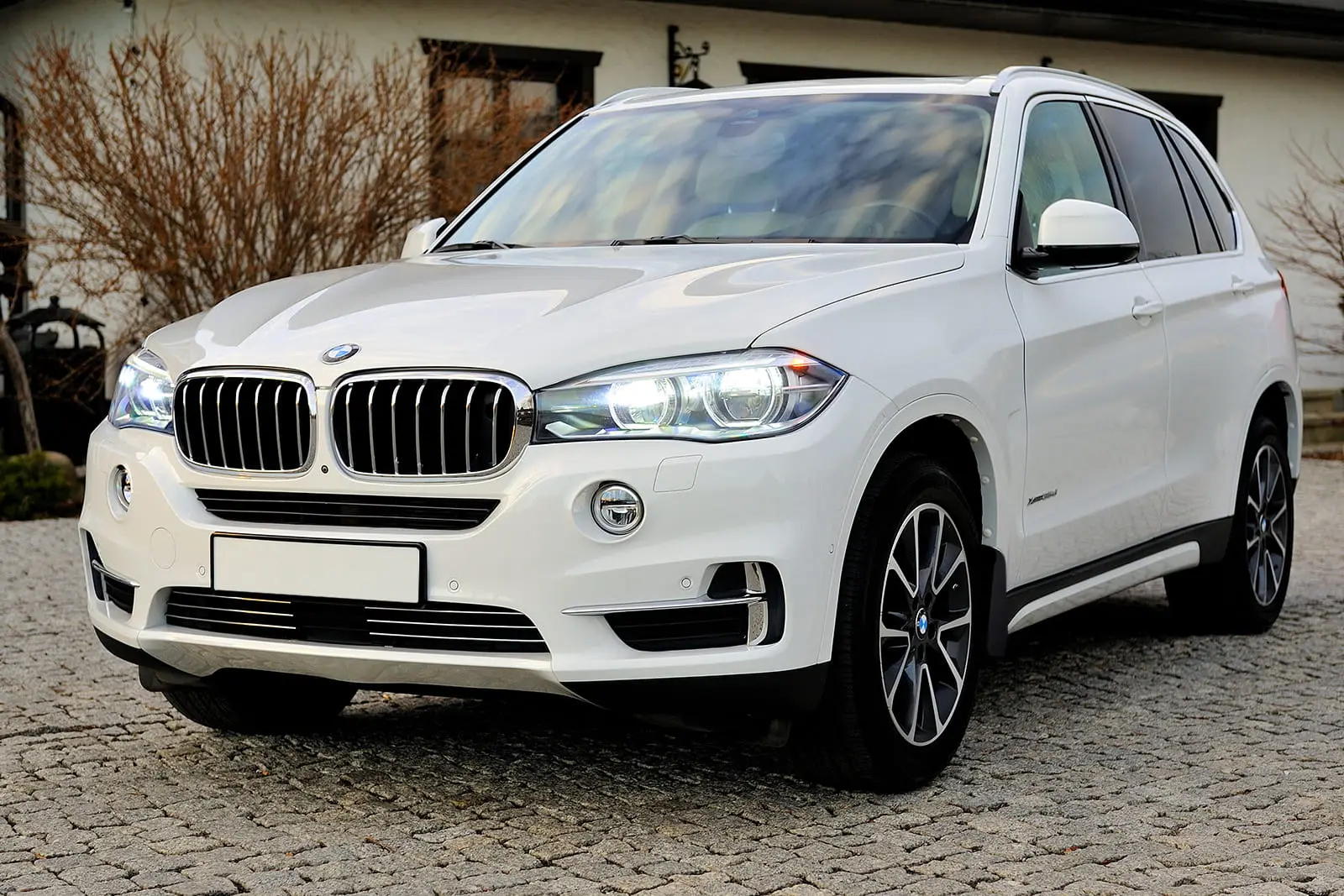 Skvettlapper BMW X5 III (F15) 2013 - 2018