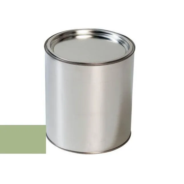 Sprøytelakk Toyota 6G2 Pastel Green │ Billakk til lakksprøyte Lakk kode 6G2 - 100 ml
