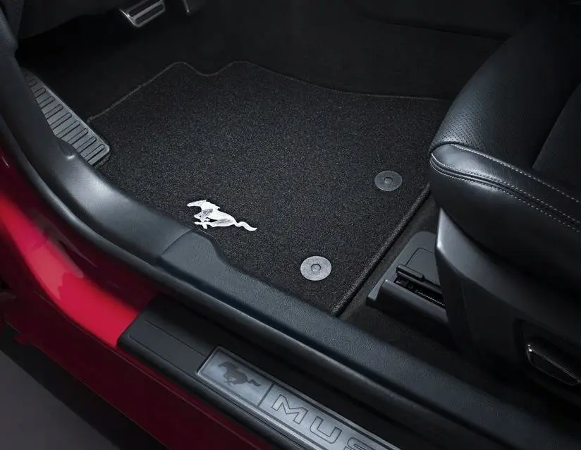 Stoffmatter Ford Mustang VI 2014 - 2023
