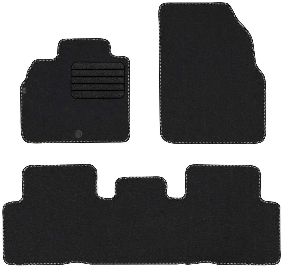 Stoffmatter Renault Scenic II 2003-2009