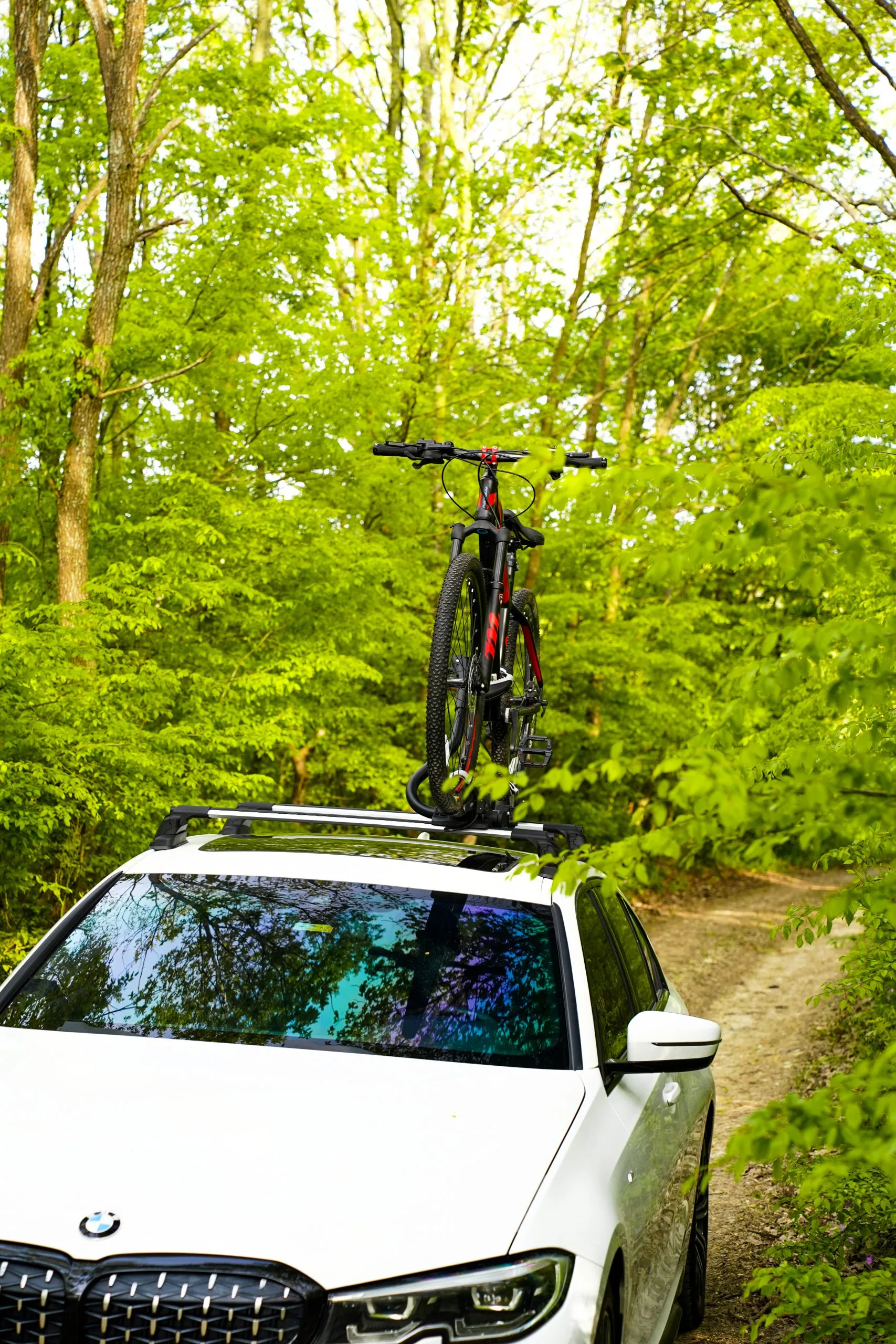 Sykkelstativ til takbøyler │ Turtle Bike Rack Pro-S Silver – bilde 12