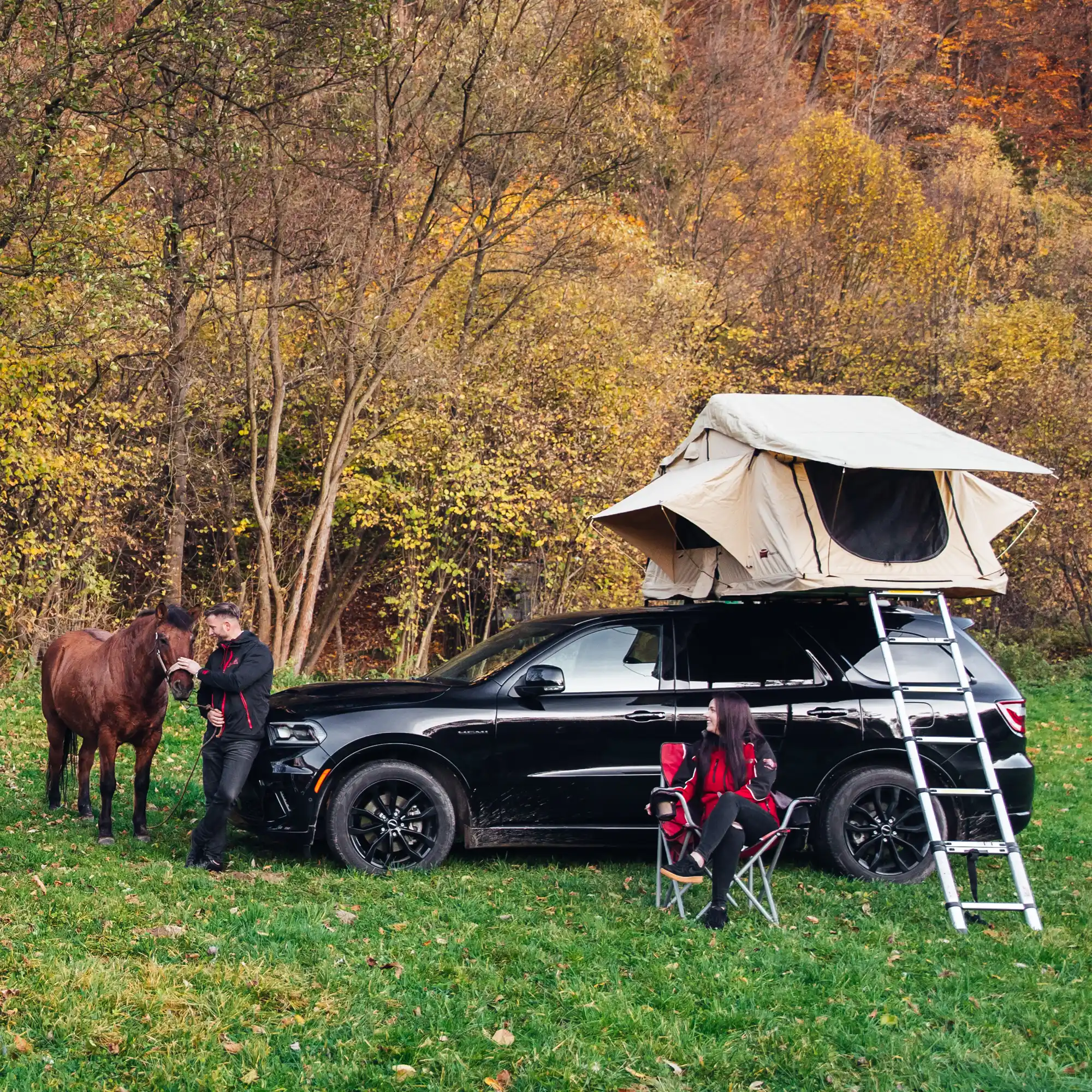 Taktelt Dragon 2.4 x 1.2 m – lett taktent for SUV, pickup, varebil og personbil 56 kg – bilde 12