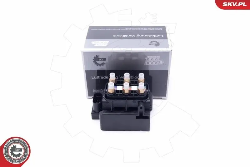 Ventil, trykkluftanlegg Audi A6 C6 / Allroad / A8 D3 │ SKV Valve, compressed-air system