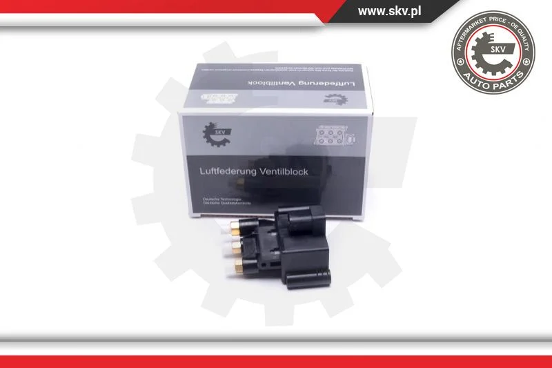 Ventil trykkluftanlegg Mercedes-Benz │ SKV Valve Compressed-air System