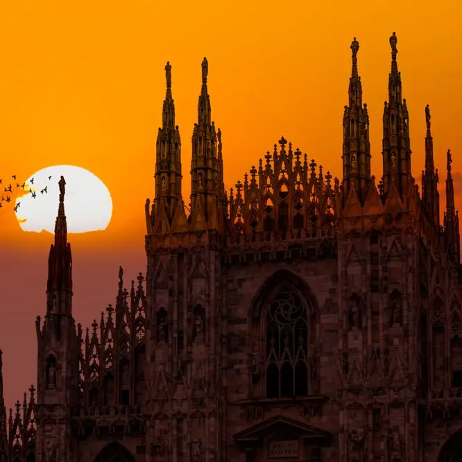 VINOVE MILANO MODERN WOOD – bilde 5
