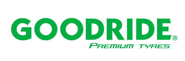 Vinterdekk GoodRide SW608 3PMSF 98V XL │ 235/45 R18 – bilde 7