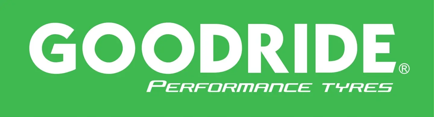 Vinterdekk GoodRide SW608 91H  │ 195/65 R15 – bilde 6