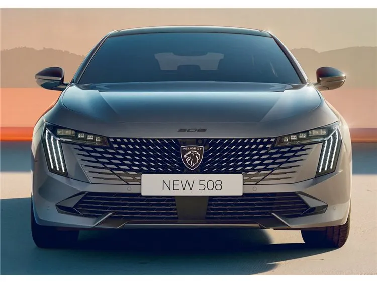 Vinterdeksel til grill Peugeot 508 II 2018 -> │ 1 stk.